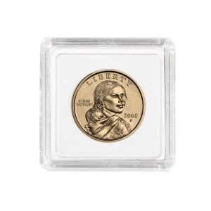 2x2 Coin Snap - Small Dollar