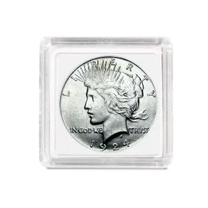 2x2 Coin Snap - Dollar
